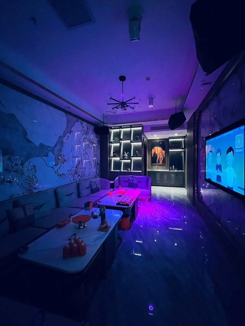 商务ktv新玩法，安庆商务ktv给你不一样的体验-宜秀区ktv预订